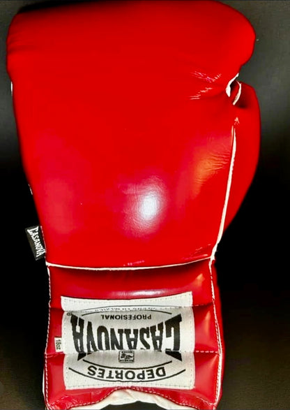 “Rocky” Casanova Premium Horse Hair Boxing Gloves